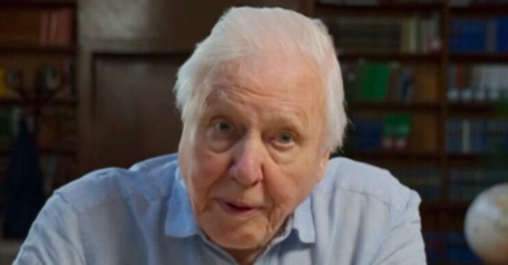 Sir David Attenborough talking to camera in a blue shirt