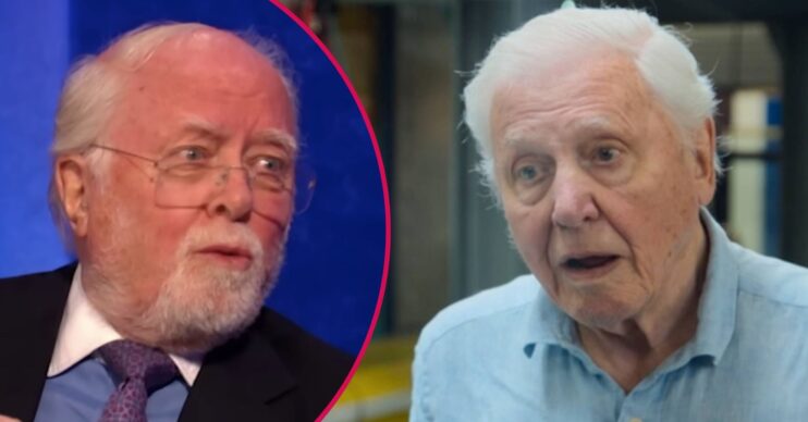 David and his brother