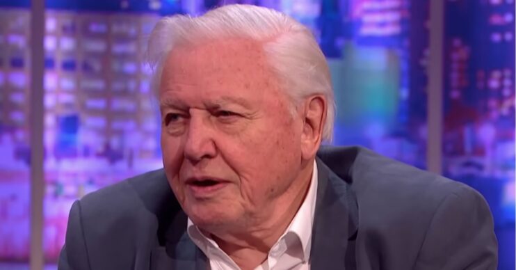 Sir David Attenborough looking serious