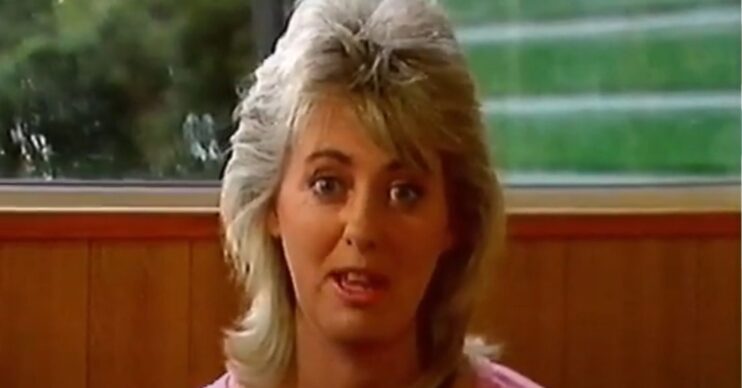 Wincey Willis presenting