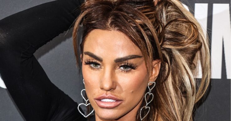 Katie Price posing