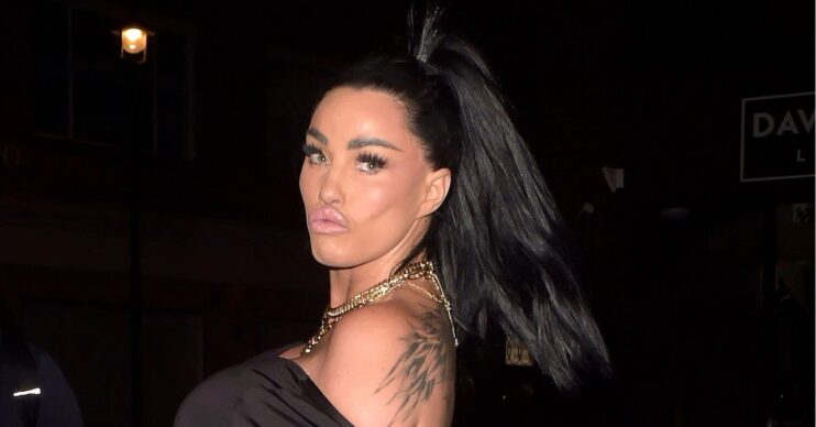 Katie Price posing