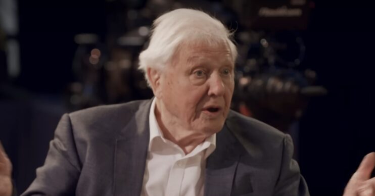 Sir David Attenborough being interviewed by Prince William