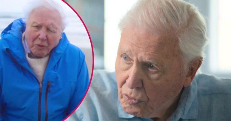 Sir David Attenborough speaks to camera, also speaks