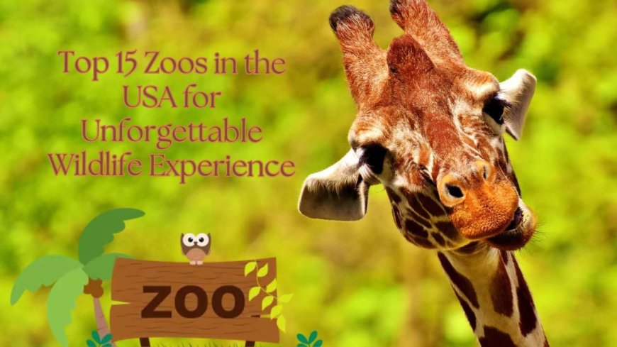 Top 15 Zoos in the USA for Unforgettable Wildlife Experience